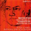 Anthony Spiri、peter schmidl、Ko Iwasaki - I. Allegro con brio
