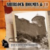 Sherlock Holmes、Mona & Co - Folge 27: Der Schrei der Banshee (Episode 2), Teil 1 (口白)