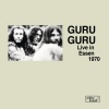 guru guru - Stone In (Live)