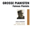 Berliner Philharmoniker、Leopold Ludwig (利奥伯德·路德维希)、shura cherkassky - I. Allegro non troppo e molto maestoso