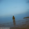 NicovGogo - 一剪梅