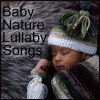 Baby Lullaby Ensemble - Deep Autumn Ritual in the Pines