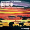David Fejes、The Soldoman - Roots (Origiinal Mix)