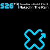 Joshua Grey、Bernie-X、Terri B! - Naked in the Rain 2009 (Original Mix)