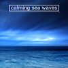 Sea Sounds 2016 - Close Tide