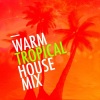 Tropical House - Heat This Up (Remix)