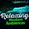 Forest Soundscapes - Birds at the Water's Edge