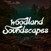 Soundscapes! - Wings Around the Water