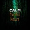 Sleep Songs with Nature Sounds - Rhythm of the Water