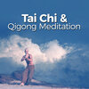 Tai Chi And Qigong - Warm Embrace