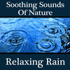 Pro Sound Effects Library - Forest Rain 1