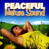 Nature Sounds for Sleep and Relaxation - Forest Birds Singing for Your Relaxation