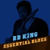 B.B. King - Easy Listening Blues