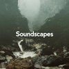 Soundscapes! - Morning Bird Hide