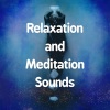 Japanese Relaxation and Meditation《Song on the Mountains》[MP3/LRC]