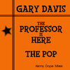gary davis - The Proffesor Is Here (Kenny Dope )(Remix)