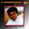 p. unnikrishnan - Om Namo Narayana - Karna Ranjani - Adi