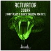 Activator《Cobra (Unresolved Remix)》[MP3/LRC]