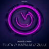Jaques Le Noir - Fluta