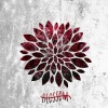 Blossom - Believe