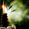 Relaxing Music - Healing Reiki Melody