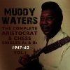 Muddy Waters《Gypsy Woman》[MP3/LRC]