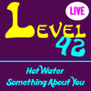 level 42 - Hot Water