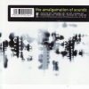 The Amalgamation of Soundz - Tears For Yazd