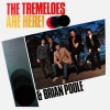 Brian Poole And The Tremeloes - I Want Candy