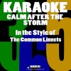 Karaoke 365《Calm After the Storm (In the Style of the Common Linnets)(Karaoke Version)》[MP3/LRC]