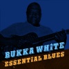 Bukka White - Parchman Farm Blues