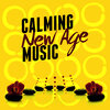 New Age - Wind over Prairie