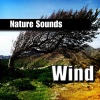 Nature Sounds - Cold Circling Wind
