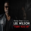 Lee Wilson、Raheem DeVaughn - Turn You Up (Kenny Dope & Todd Terry Remix)(Remix)