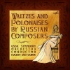 evgeny svetlanov、Russian State Symphony Orchestra - Polonaise in C Major, Op. 49