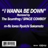 m-flo、坂本龍一 - I Wanna Be Down (The Scumfrog Mix)