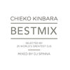 chieko kinbara、DJ NORI、こだま和文 - LA VIE EN ROSE feat. KODAMA KAZUFUMI & DJ NORI
