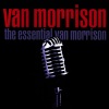 Van Morrison《Brown Eyed Girl》[MP3/LRC]