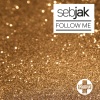 Sebjak - Follow Me (Vocal Mix Radio Edit)