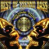 Beat Dominator - 2,4,6,8 Feel the Bass