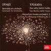 Classical Artists - Serenade for Orchestra: I. Allegro