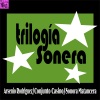 Conjunto Arsenio Rodríguez、conjunto casino、Conjunto Sonora Matancera、Miguelito Cuni - Amores de Verano (Guaguancó)