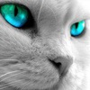 Tina - Eyes On U (Peter Rauhofer Remix)
