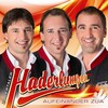 Zillertaler Haderlumpen - I will a Polka hör'n