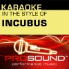 ProSound Karaoke Band - Drive [In the style of Incubus] (Karaoke With Background Vocals)