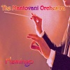 Mantovani & His Orchestra《Flamingo》[MP3/LRC]