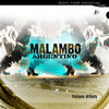 Debayres - Malambo Tierra (Album Edit)