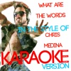 Ameritz Digital Karaoke - What Are the Words (Karaoke Version 丨 In the Style of Chris Medina)