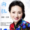 杜桦 - 向往