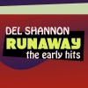 Del Shannon《Runaway》[MP3/LRC]